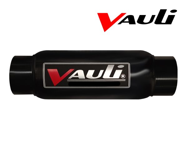 BV4010 (2)